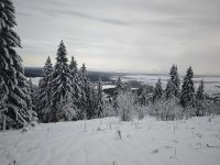 IMG_20241207_111117.jpg